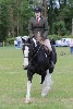 thornton-le-dale-gala showclass7acharity25-5-20153